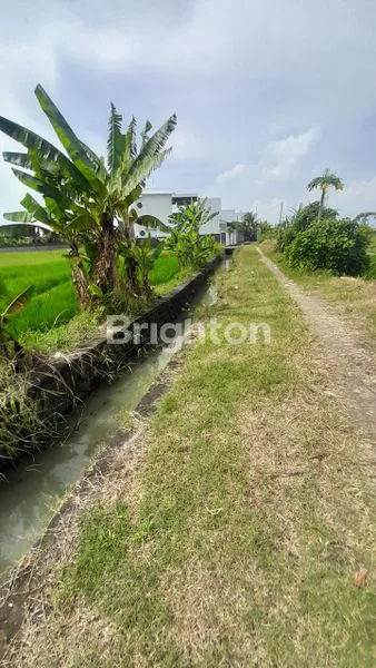 image JUAL TANAH (2)