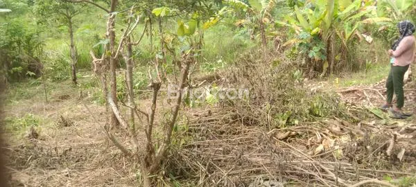 image KAVLING SIAP BANGUN, LOKASI NYAMAN DEKAT PERUMAHAN (5)