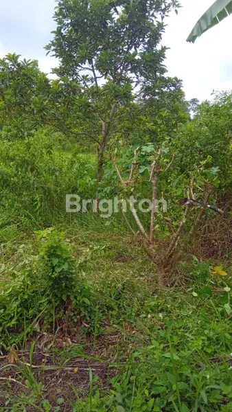 image KAVLING SIAP BANGUN, LOKASI NYAMAN DEKAT PERUMAHAN (2)