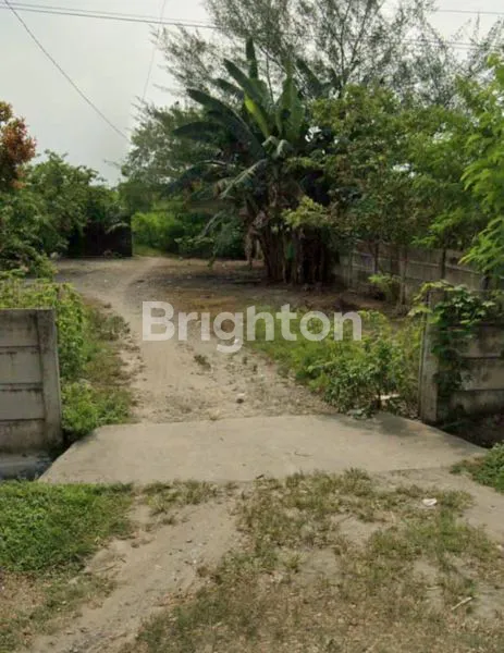 image TANAH LUAS 5 HEKTAR DI BATANG KUIS, SHM, STRATEGIS (3)