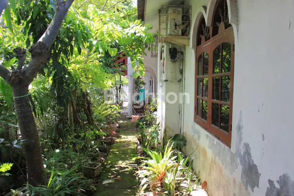 image RUMAH LUAS 12 KT, LOKASI PREMIUM DEKAT KAMPUS & RS (5)