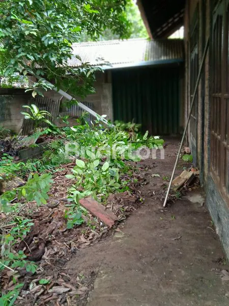 image RUMAH DI JUAL CEPAT (4)