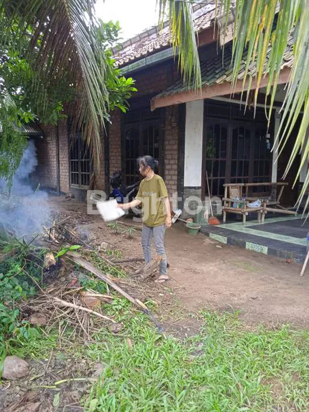 image RUMAH DI JUAL CEPAT (1)