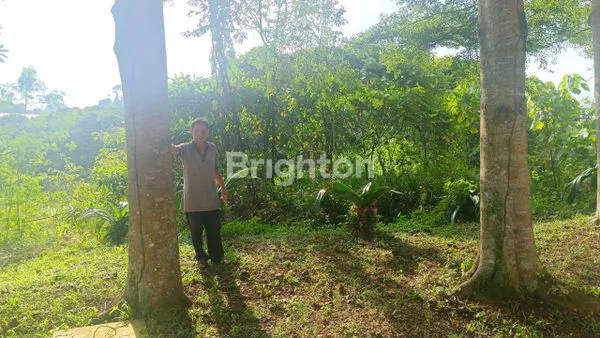 image TANAH STRATEGIS 300 M² DI CITRALAND SAMARINDA (2)