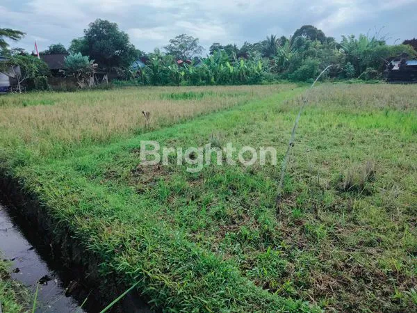 image DISEWAKAN TANAH PINGGIR JALAN RAYA LOKASI SANGAT STRATEGIS  (2)