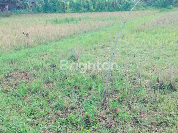 image DISEWAKAN TANAH PINGGIR JALAN RAYA LOKASI SANGAT STRATEGIS  (3)