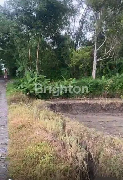 image INVESTASI TANAH MEDEWI DEKAT PANTAI (1)