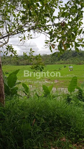 image INVESTASI TANAH MEDEWI DEKAT PANTAI (4)
