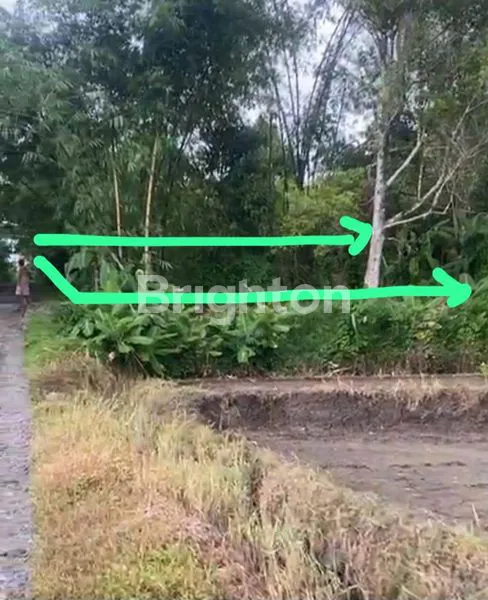 image INVESTASI TANAH MEDEWI DEKAT PANTAI (2)