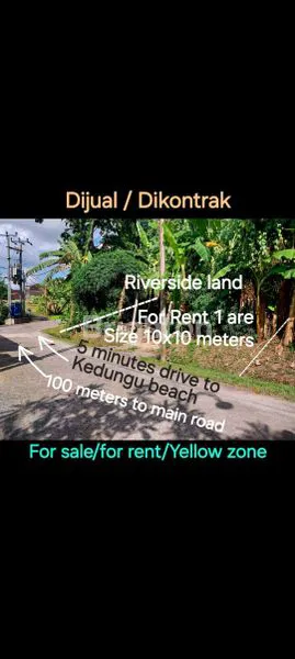image LAND FOR RENT  5 MINUTES DRIVE TO KEDUNGU BEACH & 25 MINUTES DRIVE TO CANGGU AND PERERENAN (7)