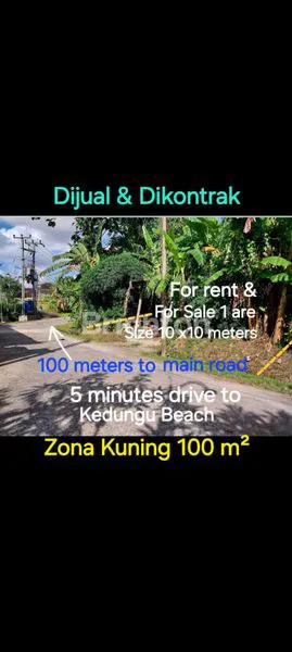 image LAND FOR RENT  5 MINUTES DRIVE TO KEDUNGU BEACH & 25 MINUTES DRIVE TO CANGGU AND PERERENAN (2)