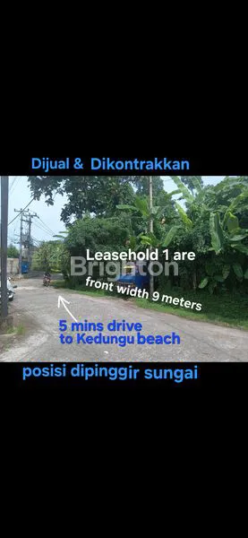 LAND FOR RENT  5 MINUTES DRIVE TO KEDUNGU BEACH & 25 MINUTES DRIVE TO CANGGU AND PERERENAN