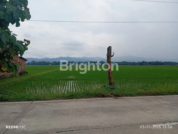 TANAH 1750 M2 DI PURBALINGGA - ZONA KUNING