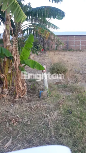 image TANAH NOL JLN RAYA CERME (5)