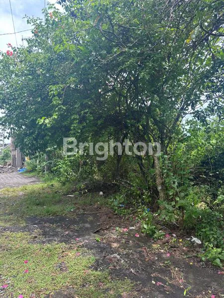 image LAHAN SIAP BANGUN DI BENOA, DEKAT POLITEKPAR & PANTAI (2)