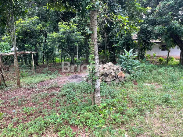 image TANAH – PASIR ANGIN, CILEUNGSI (2)