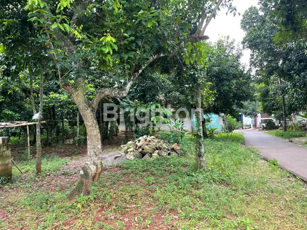 image TANAH – PASIR ANGIN, CILEUNGSI (3)