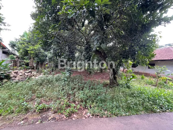 image TANAH – PASIR ANGIN, CILEUNGSI (5)