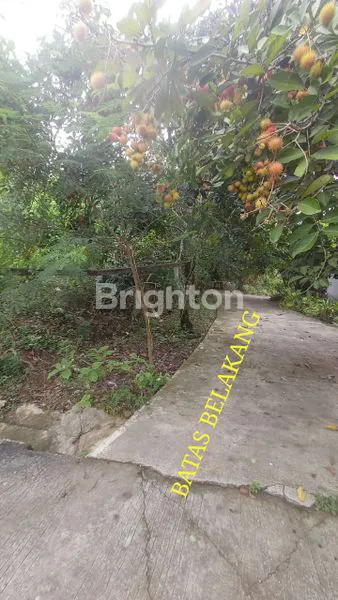 image LAHAN KOSONG HOK DIJALAN SANGGA BUANA (6)