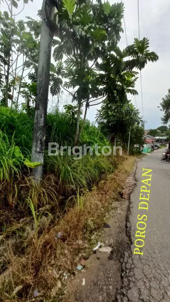 image LAHAN KOSONG HOK DIJALAN SANGGA BUANA (4)