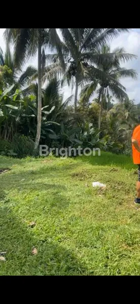 image TANAH BUKIT LANGKA DENGAN PEMANDANGAN BUKIT CAMPUHAN DAN GUNUNG AGUNG DI UBUD (1)