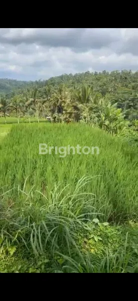 image TANAH BUKIT LANGKA DENGAN PEMANDANGAN BUKIT CAMPUHAN DAN GUNUNG AGUNG DI UBUD (2)