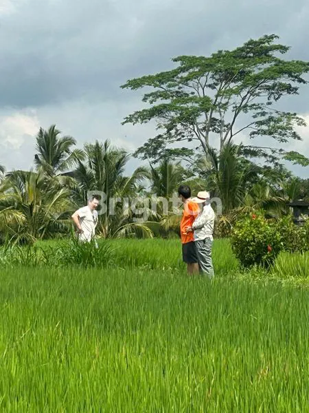 image TANAH BUKIT LANGKA DENGAN PEMANDANGAN BUKIT CAMPUHAN DAN GUNUNG AGUNG DI UBUD (4)