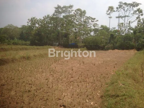 image TANAH LUAS 1460M² DI SERANG, DEKAT TOL & FASILITAS (1)