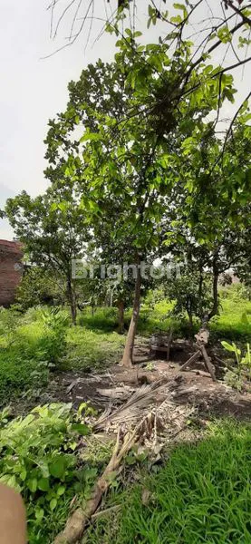 image TANAH BONUS RUMAH DI SUKUN, MALANG (3)