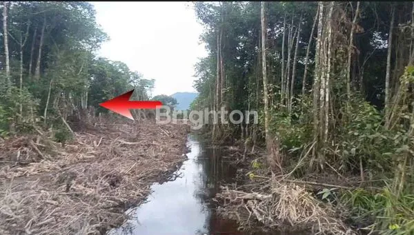 image LAHAN TANAH KOSONG PINGGIR SUNGAI SEDAU KOTA SINGKAWANG (5)