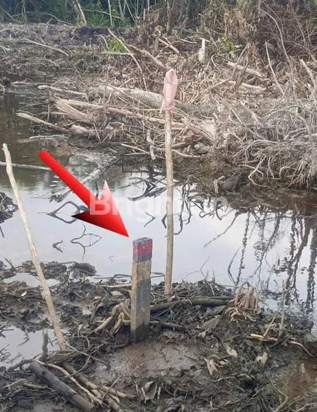 image LAHAN TANAH KOSONG PINGGIR SUNGAI SEDAU KOTA SINGKAWANG (6)