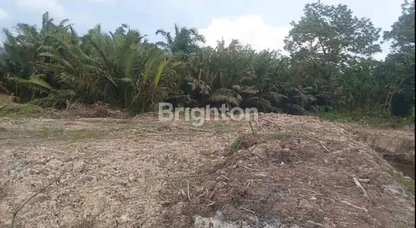 image LAHAN TANAH KOSONG PINGGIR SUNGAI SEDAU KOTA SINGKAWANG (2)