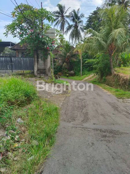 image TANAH SIAP BANGUN DI MENGWI BARAT CLANDYS (2)