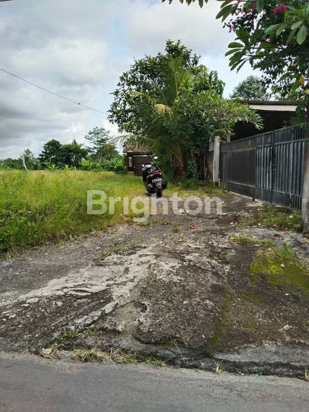image TANAH SIAP BANGUN DI MENGWI BARAT CLANDYS (3)