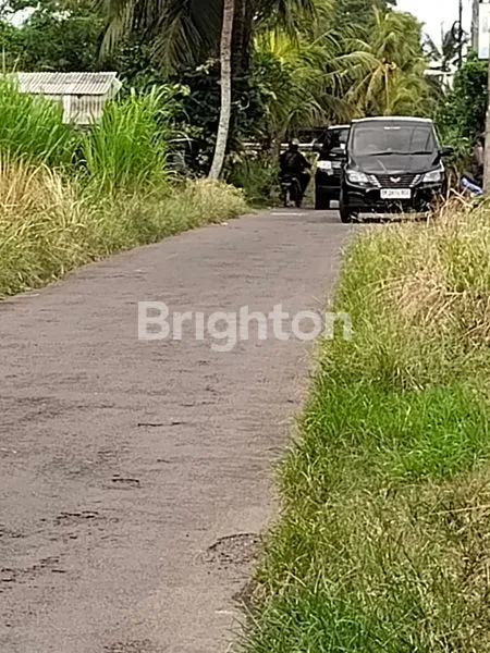 image TANAH SIAP BANGUN DI MENGWI BARAT CLANDYS (6)