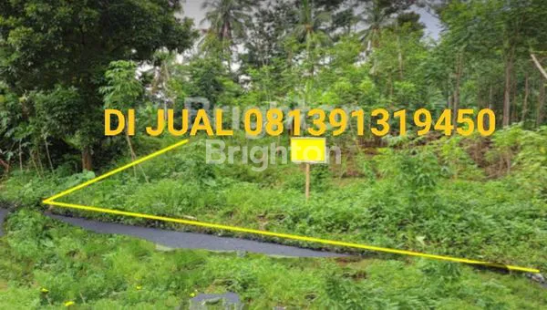 image TANAH SEJUK UDARA DI SIKEDOK UNGARAN  (3)