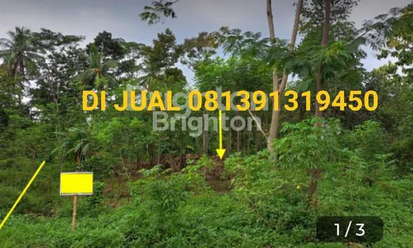 image TANAH SEJUK UDARA DI SIKEDOK UNGARAN  (2)