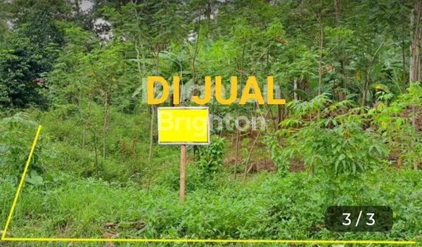 image TANAH SEJUK UDARA DI SIKEDOK UNGARAN  (1)