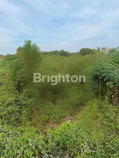 image *LAHAN TANAH PINGGIR JALAN RAYA PROVINSI AREA GRESIK* (1)