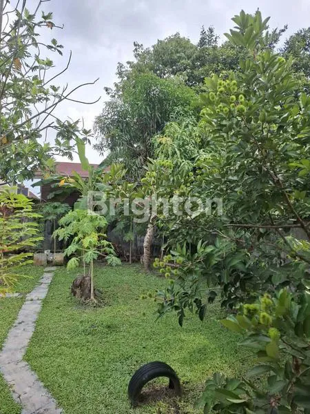 image RUMAH SIAP HUNI (8)