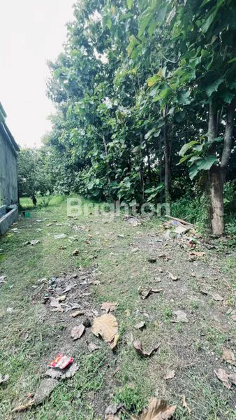 image TANAH MURAH CERME GRESIK (1)