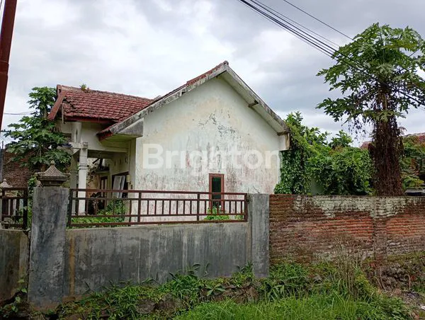 image RUMAH LUAS DI MALANG, HARGA TERJANGKAU (6)