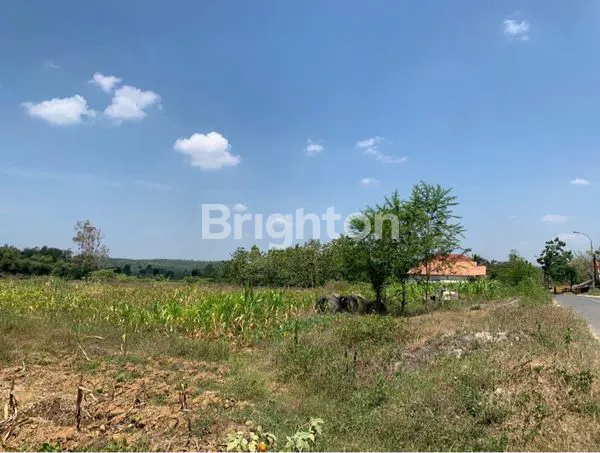 image TANAH STRATEGIS 279-280 NOL JALAN TUBAN COCOK UNTUK INVESTASI/USAHA (1)