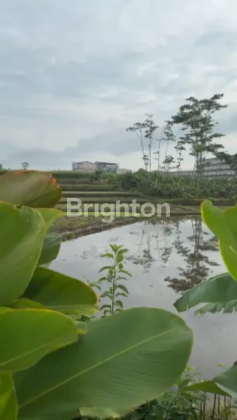 image HUNIAN NYAMAN & SEJUK DI HAVANA PARK – HARGA DI BAWAH DEVELOPER! (7)