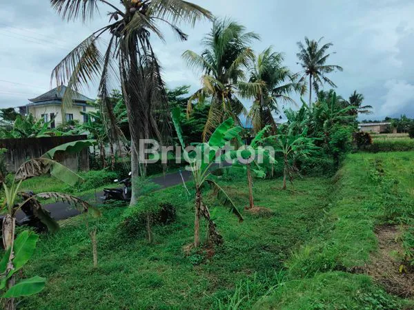 image DIJUAL TANAH PINGGIR JALAN, VIEW PEGUNUNGAN DAN SAWAH  (3)