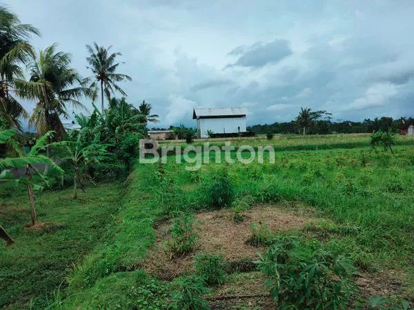image DIJUAL TANAH PINGGIR JALAN, VIEW PEGUNUNGAN DAN SAWAH  (4)