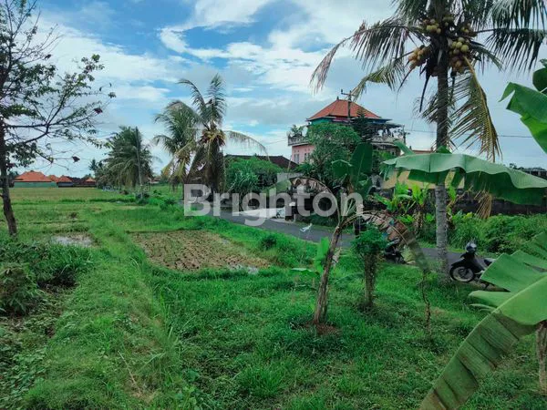 image DIJUAL TANAH PINGGIR JALAN, VIEW PEGUNUNGAN DAN SAWAH  (5)
