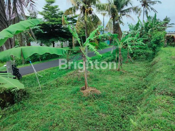image DIJUAL TANAH PINGGIR JALAN, VIEW PEGUNUNGAN DAN SAWAH  (2)