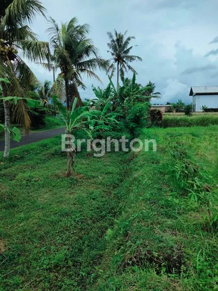 image DIJUAL TANAH PINGGIR JALAN, VIEW PEGUNUNGAN DAN SAWAH  (7)