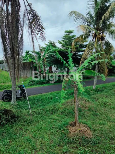 image DIJUAL TANAH PINGGIR JALAN, VIEW PEGUNUNGAN DAN SAWAH  (6)